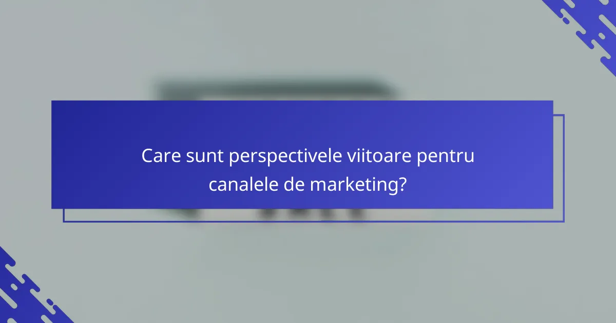 Care sunt perspectivele viitoare pentru canalele de marketing?