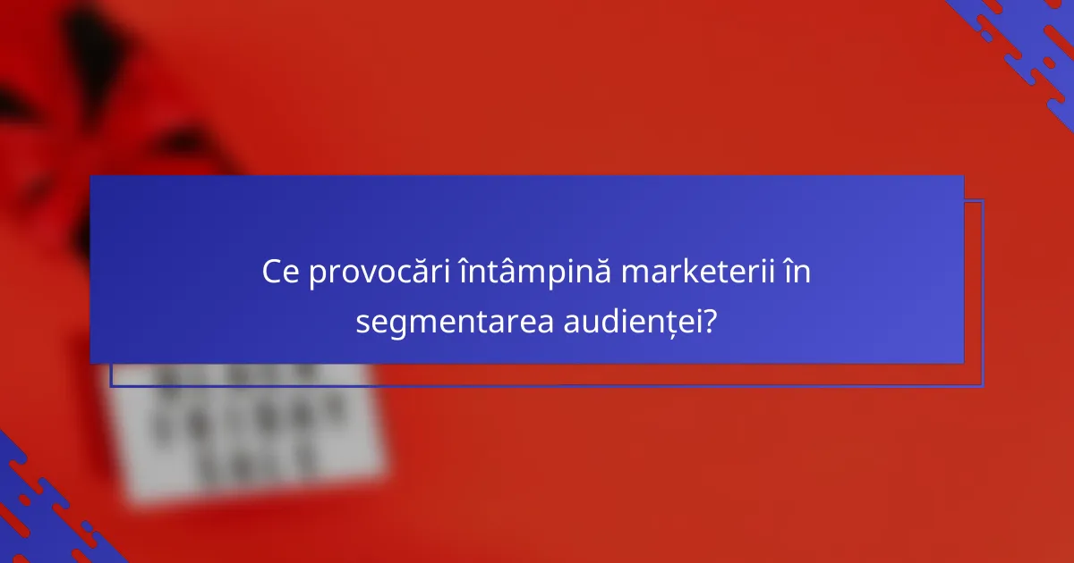 Ce provocări întâmpină marketerii în segmentarea audienței?